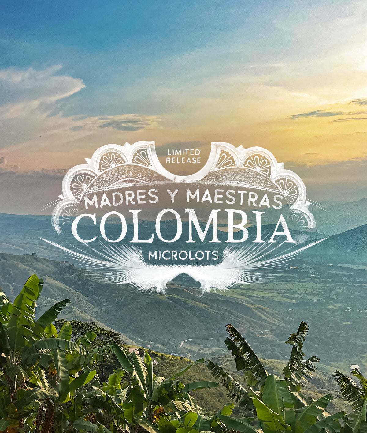 Madres Y Maestras Colombia Microlots