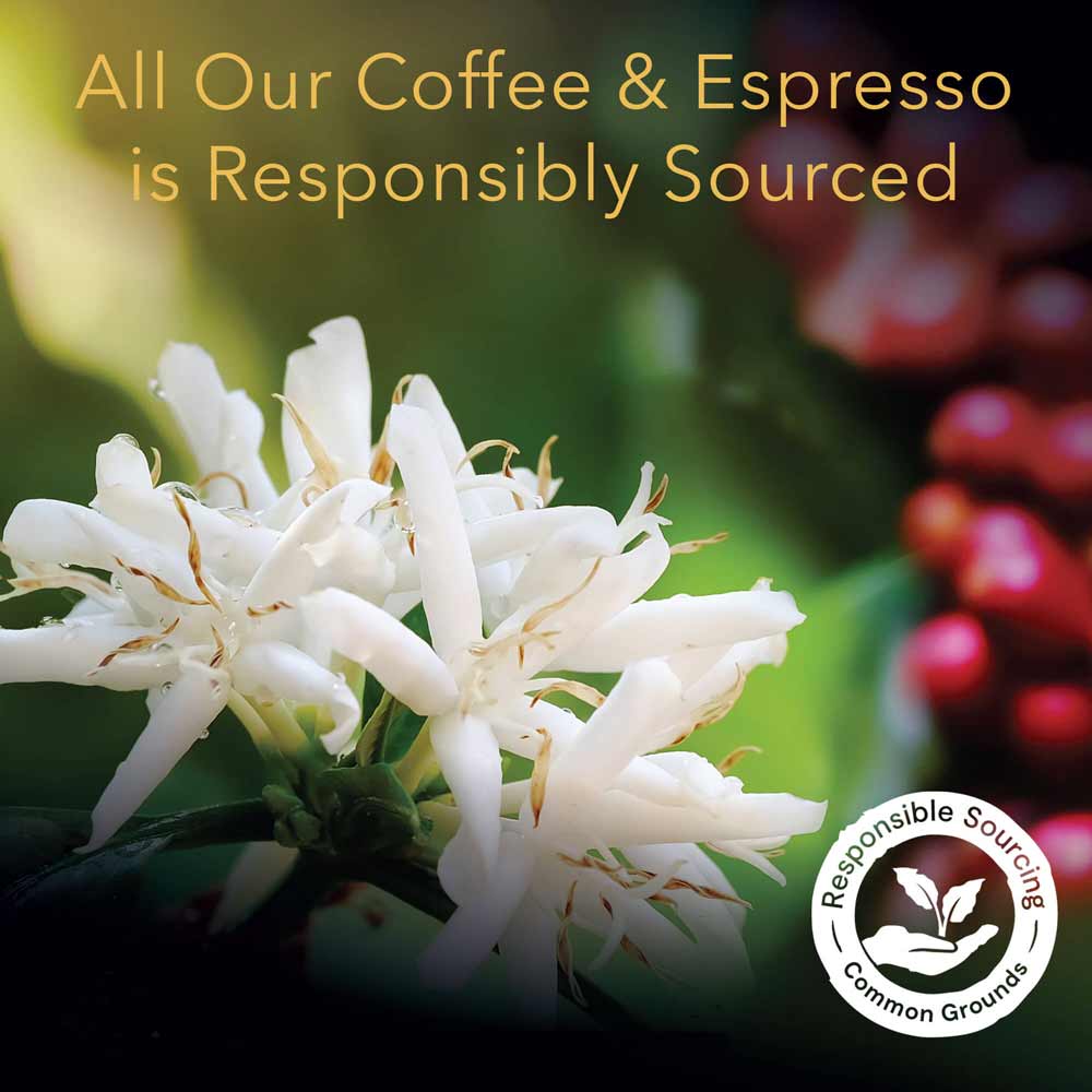 L'OR Forza Espresso Capsules